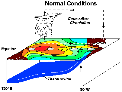 What is El Niño and La Niña? 